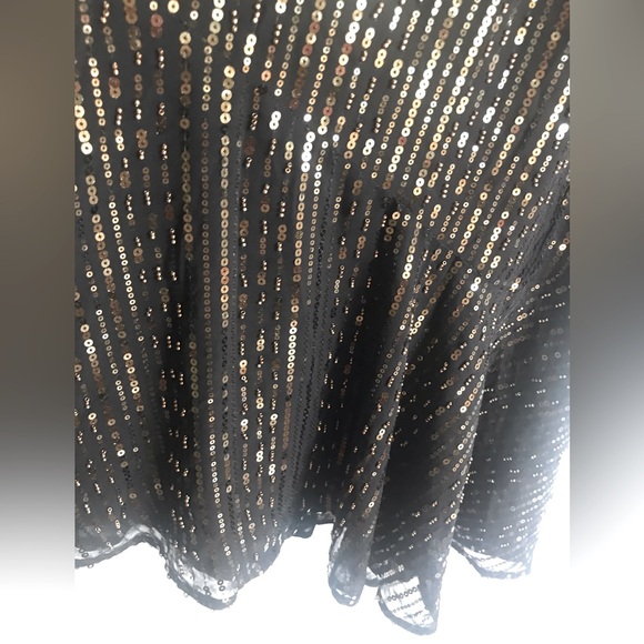 ZARA Limited Edition Sequin Dress - Picture 12 of 16